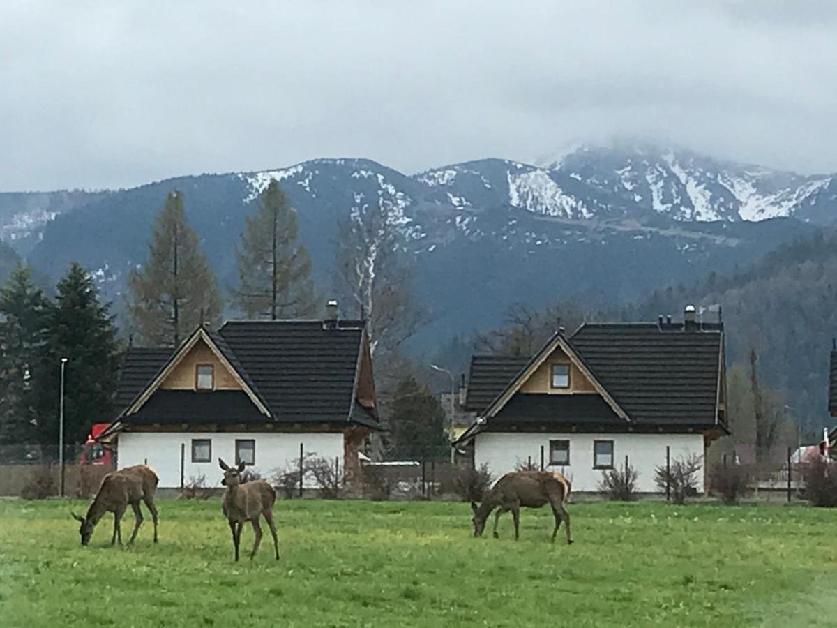 A3Apartament 2 Pokojowy Aneks Kuchenny 2 Lazienki Wlasne Na Korytarzu Villa Jumper Pobyt Na Termach Dla 2 Osob Gratis Zakopane Exterior foto
